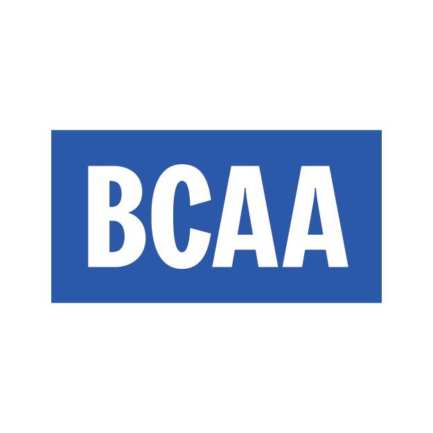 BCAA approved auto glass shop in Surrey providing windshield replacement and stone chip repair.